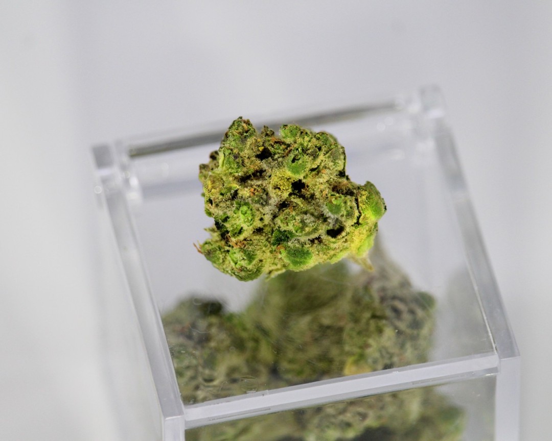 Medizinisches Cannabis auf einem Plastikwürfel