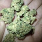 greensby