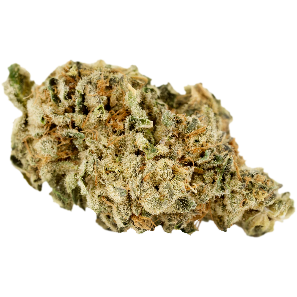 Cannamedical Indica Forte