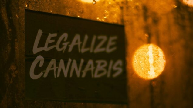 legalisierung-cannabis-koalition-einig-greensby