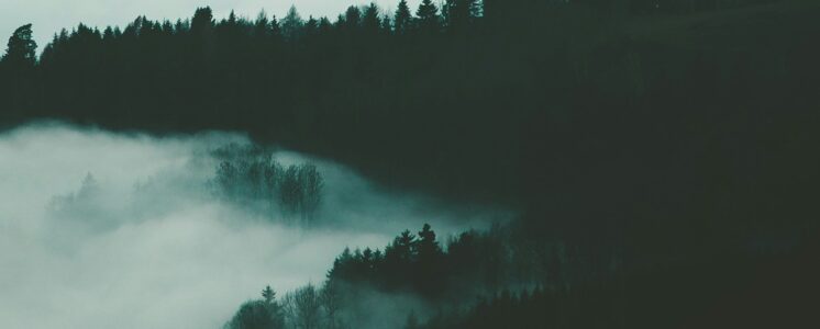 daniel-kainz-FdkF3FKWeK0-unsplash