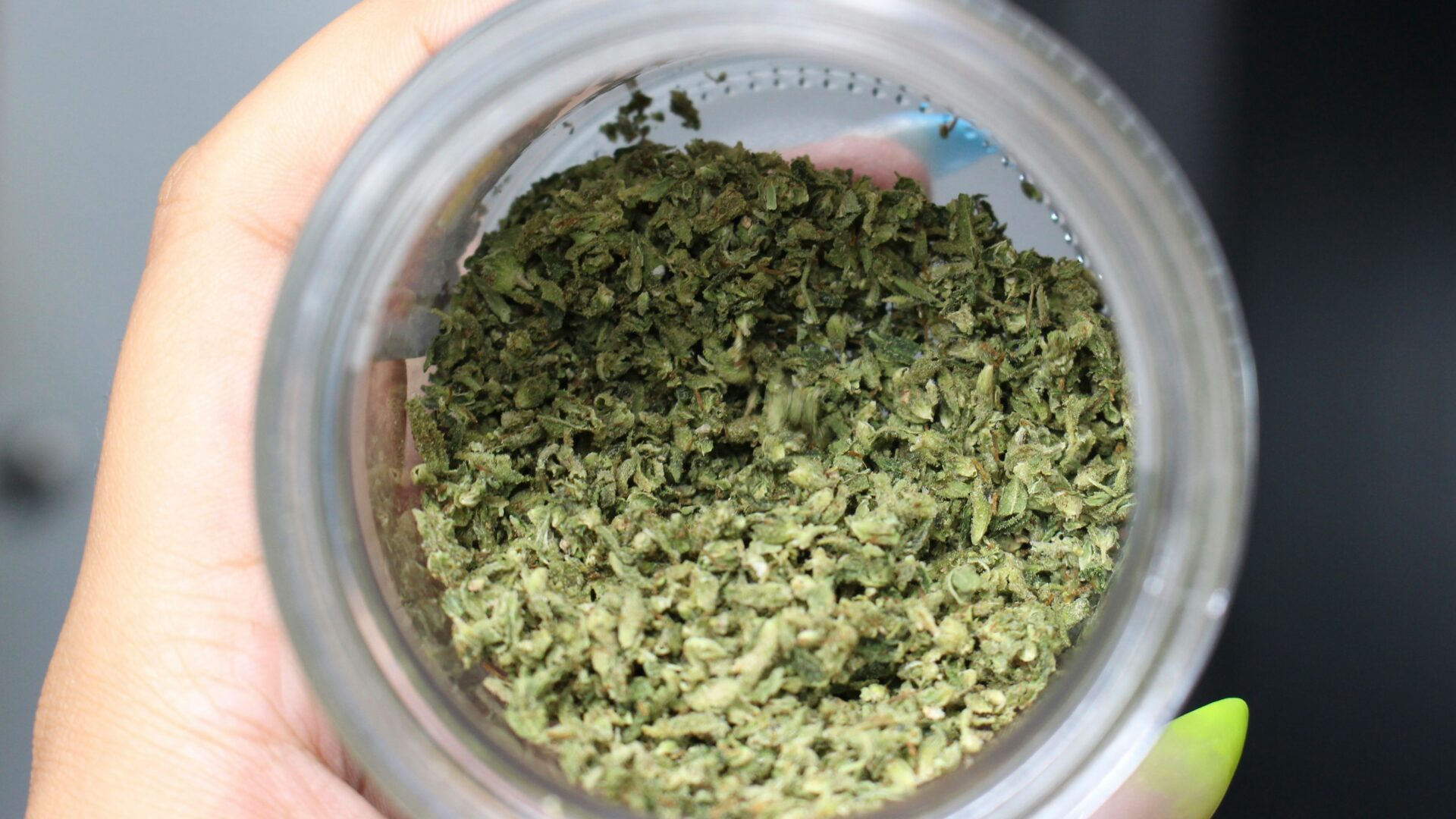 medizinisches-cannabis-verschreibung-einfacher-greensby-news