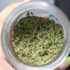 medizinisches-cannabis-verschreibung-einfacher-greensby-news