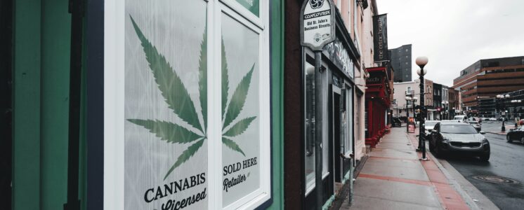 elton-john-cannabis-kritik-greensby-news