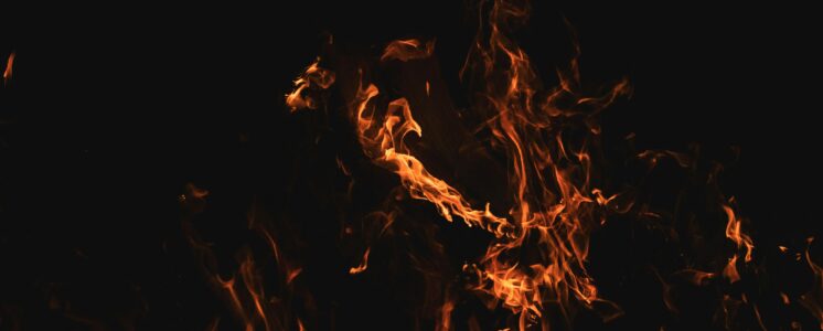 brand-anbauvereinigung-feuer-hamburg-greensby-news