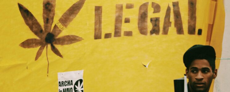 cannabis-legal-umfrage-greensby-news