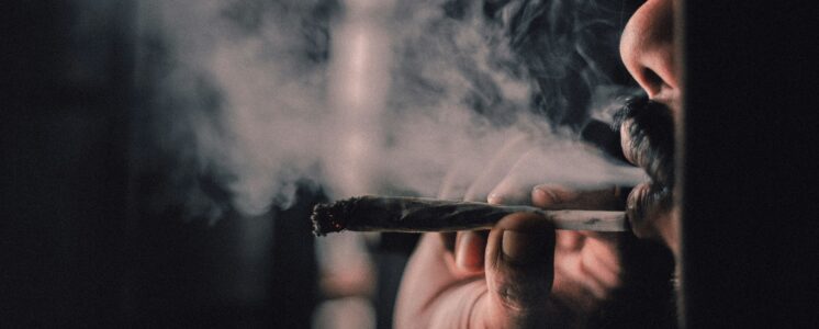 cannabis-legal-nrw-ein-jahr-greensby-news