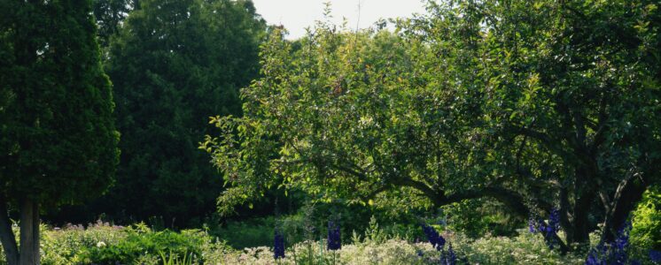 garten-hanf-greensby-news