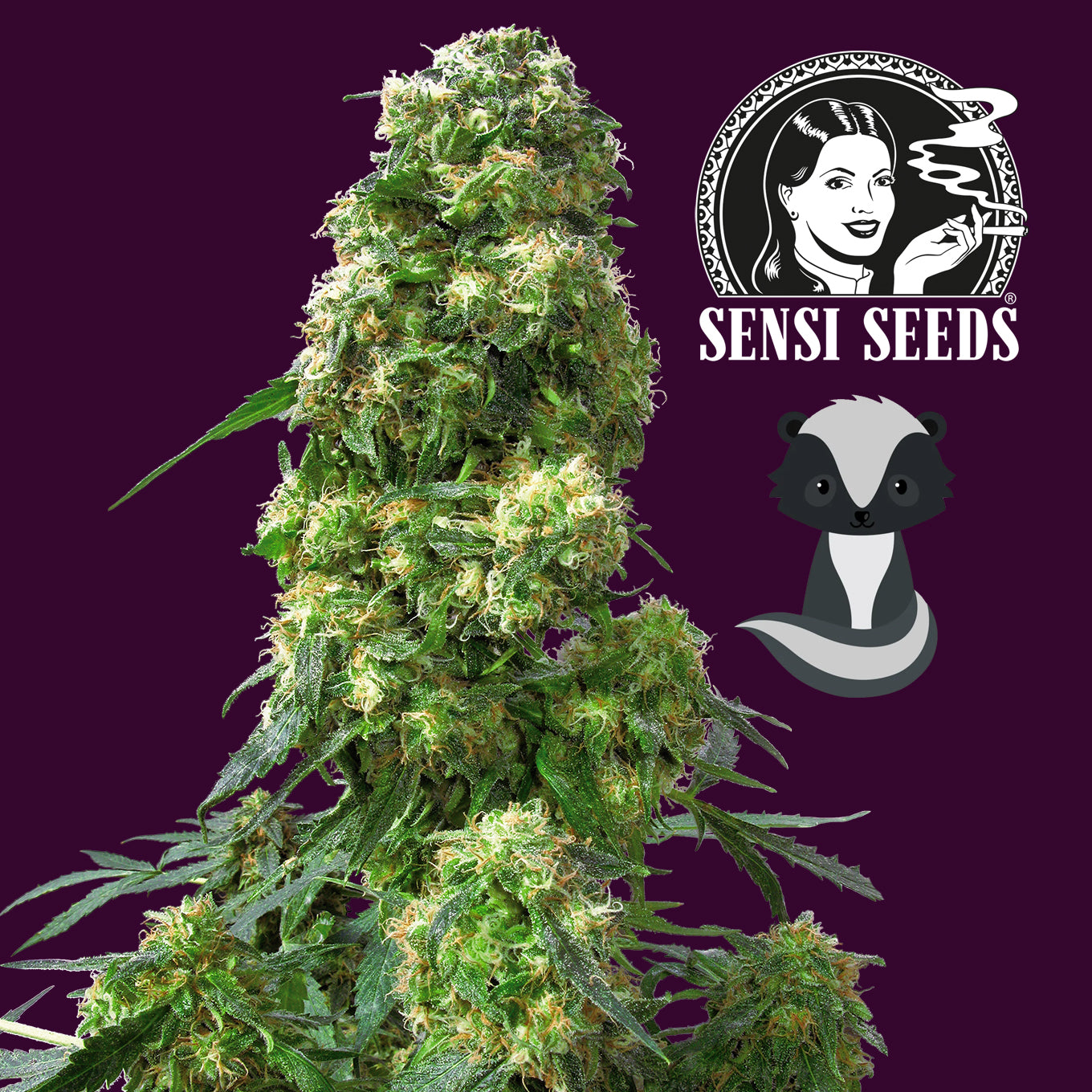 Early Skunk 1,5 L (1 Stk)